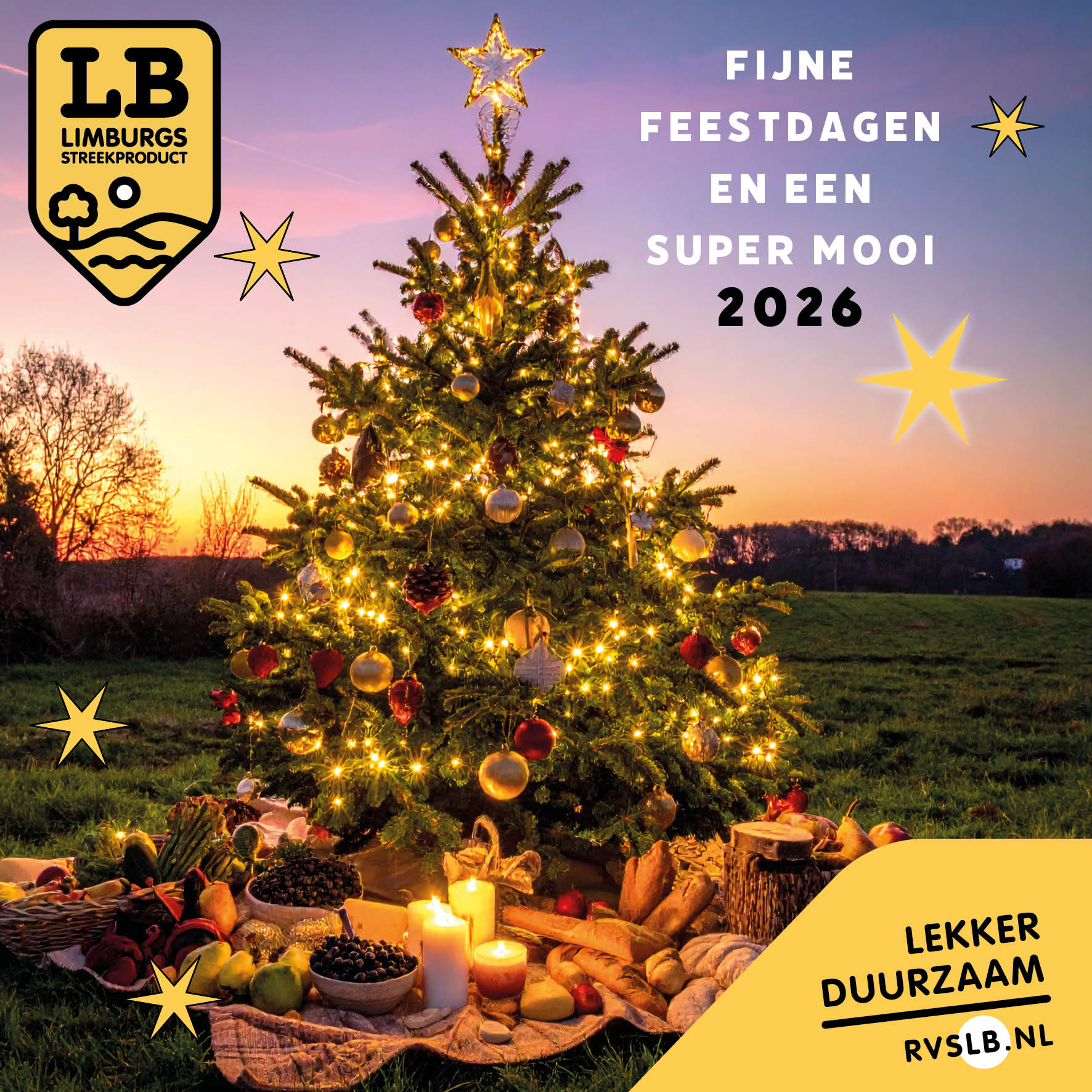 Kerst RVS-LB